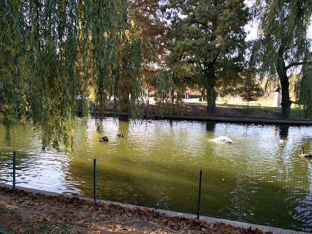 Out in the Park