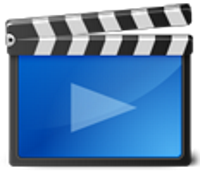 SaleenVideoManager.200.175