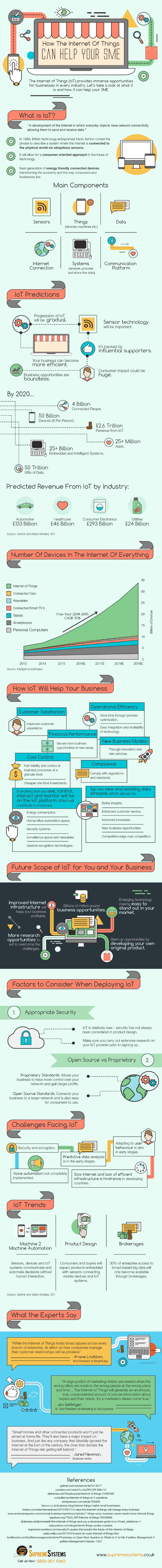 SME IoT infographic