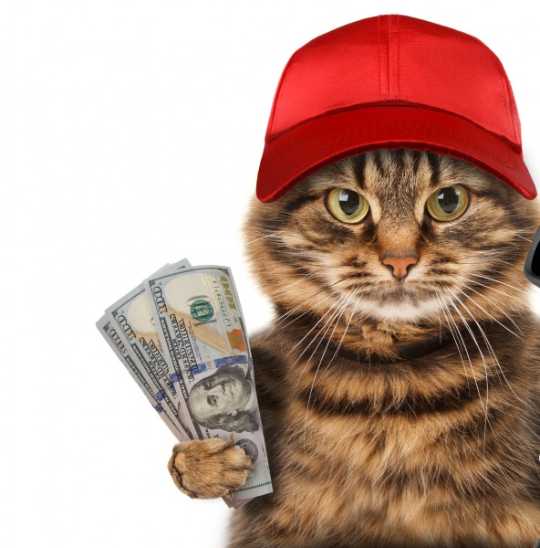 catredhatmoney