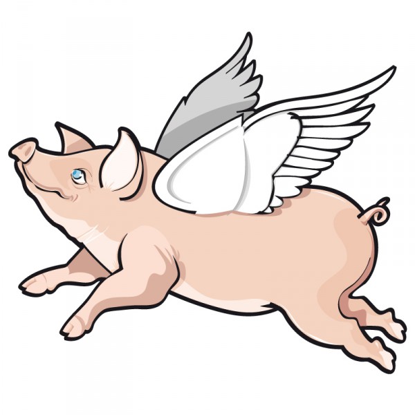 flyingpig