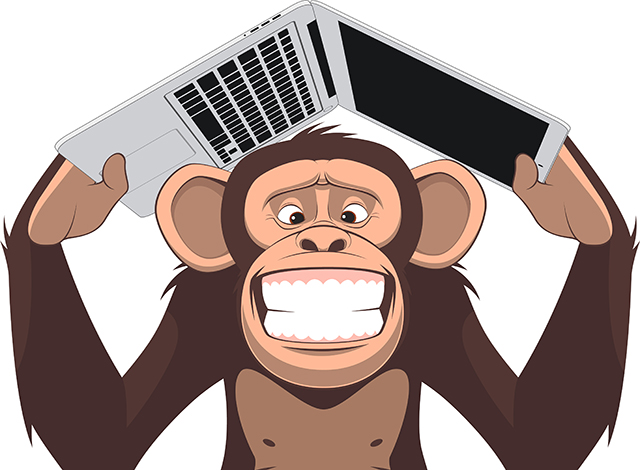 monkey laptop