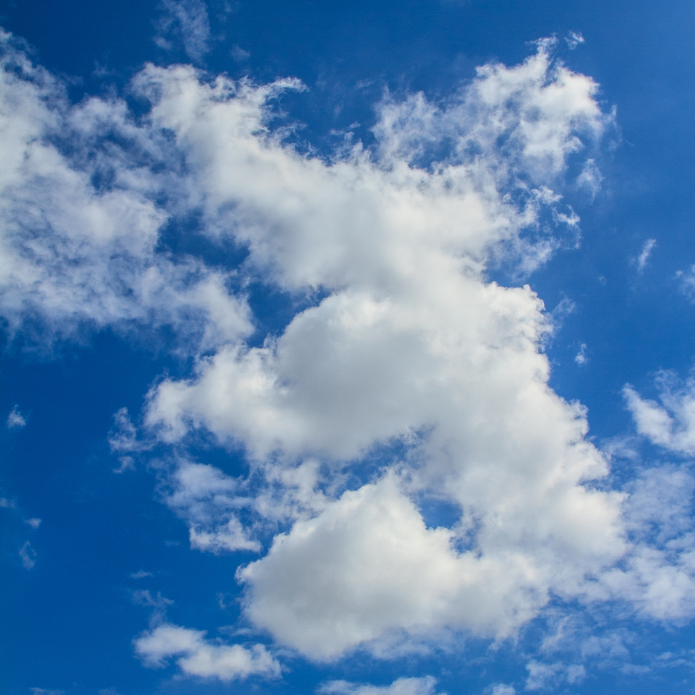 Cloud elephant