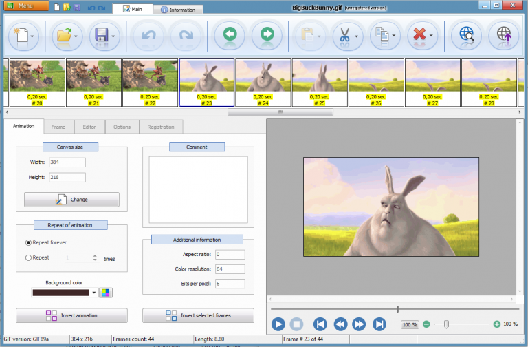 Easy GIF Animator - animated GIF image editor for Windows.