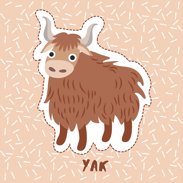 Yak