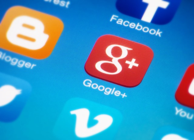 Google+ icon