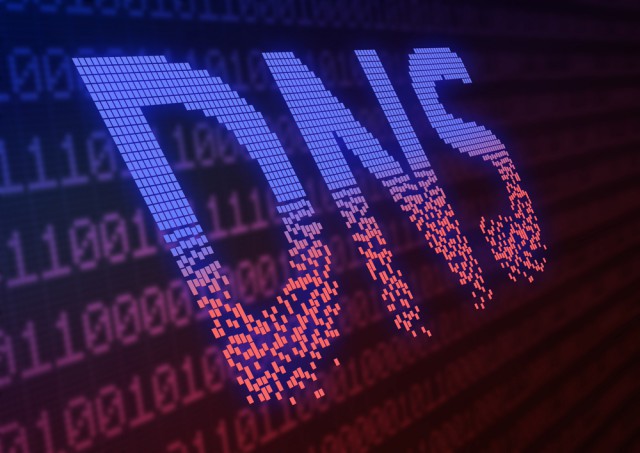 DNS DDoS