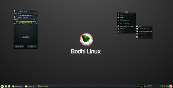 bodhilinux2