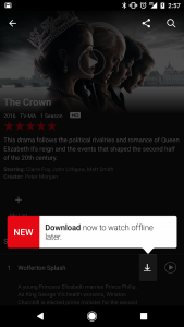 Netflix offline