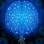 brain connections