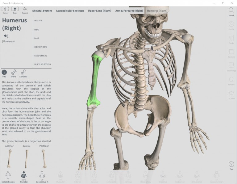 download essential anatomy windows 10 best price