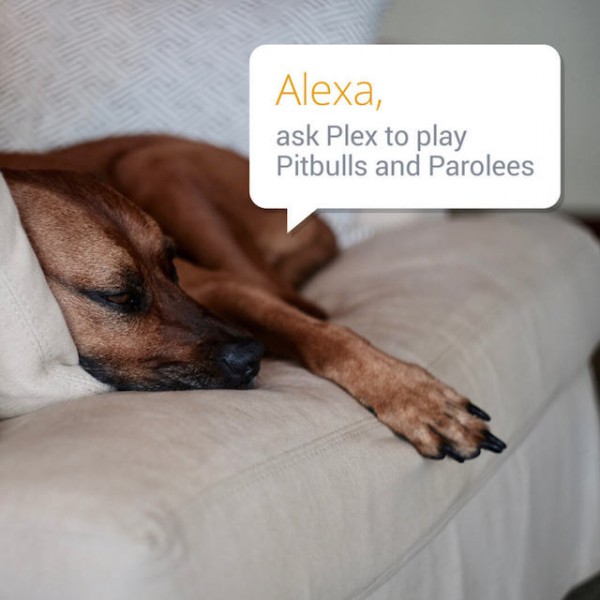 plex-alexa