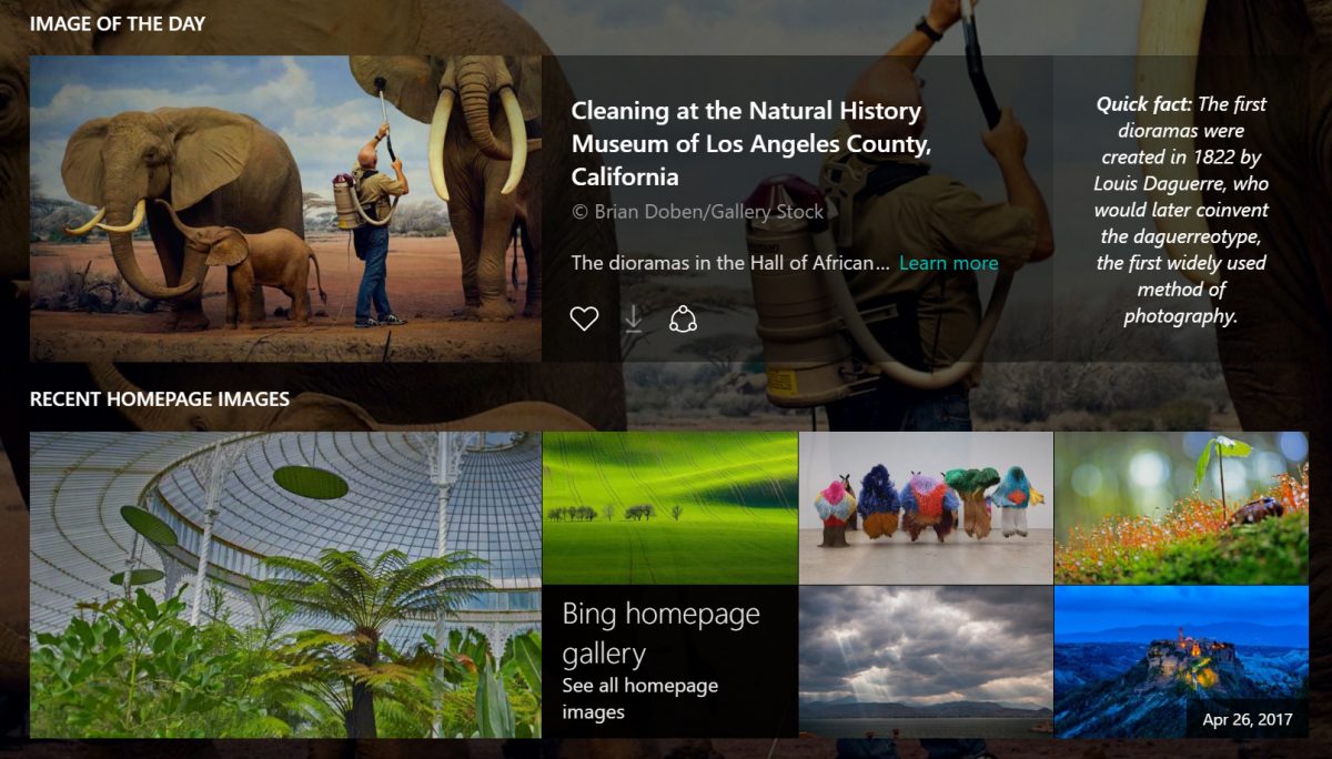 Microsoft reveals the hidden story behind Bing's Image of the Day
