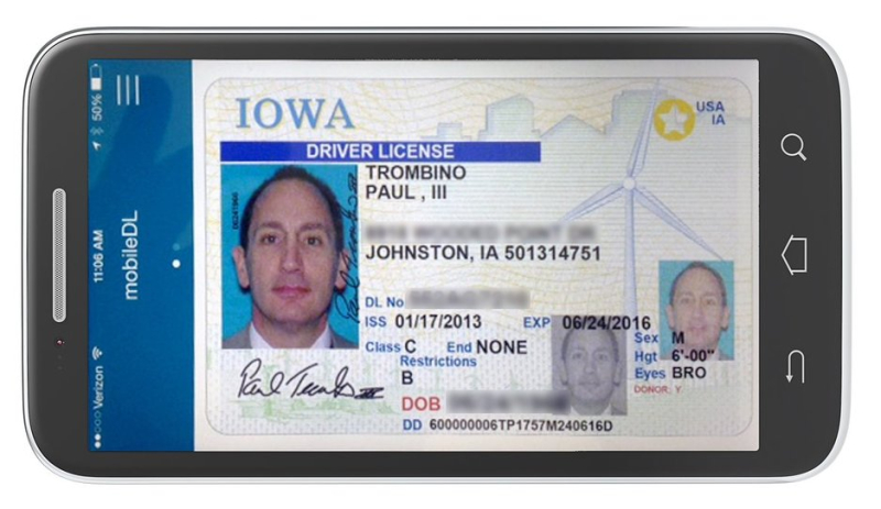 illinois drivers license format