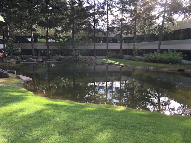 Microsoft-Campus-Tour-3