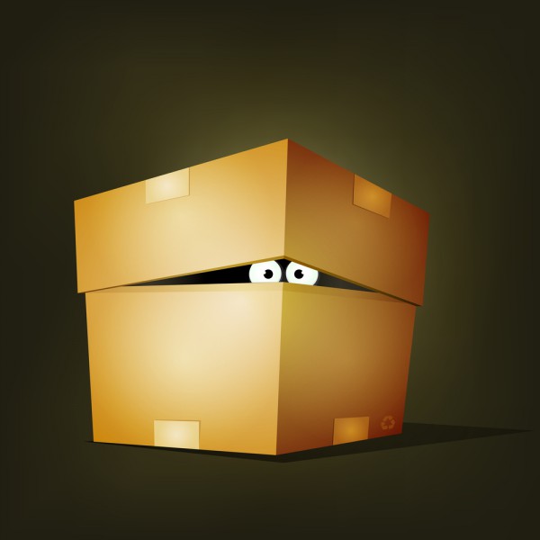 hiding in box