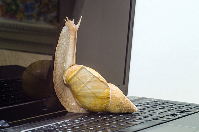 Windows 10 snail