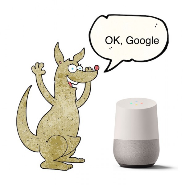 Kangaroo_Google_Australia