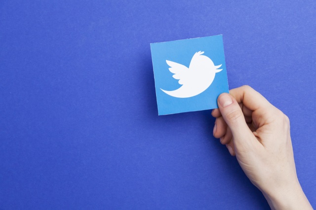 Twitter logo in hand