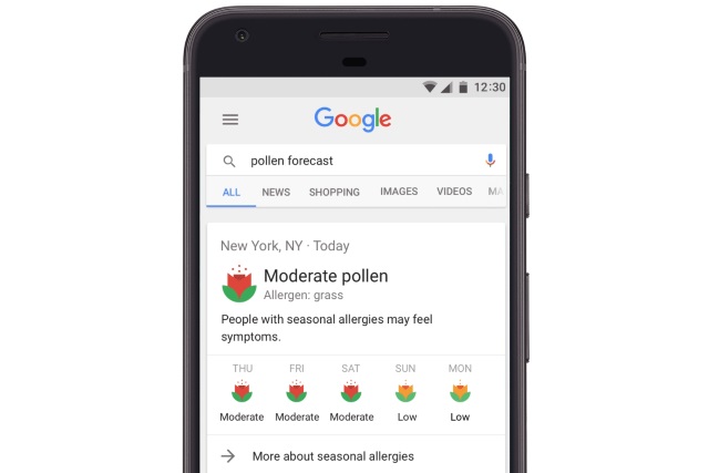 google-pollen-forecast