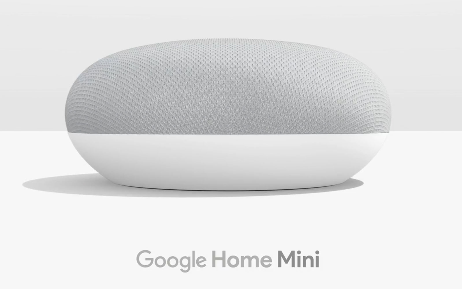 Home mini1