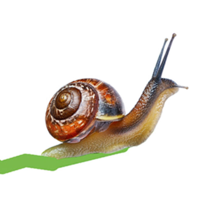 download the new for windows Snail limax.io