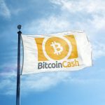 Bitcoin Cash flag
