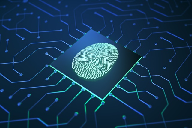 Fingerprint on a chip