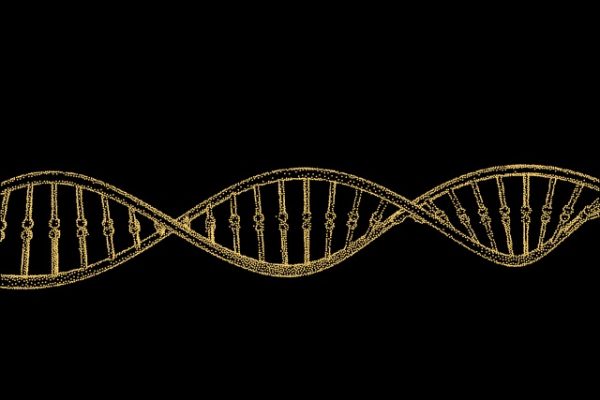 scientists-discover-a-new-way-to-use-dna-as-a-storage-device