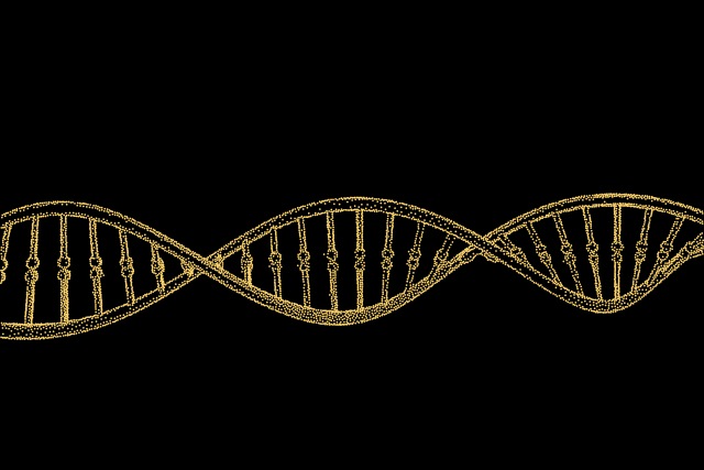 DNA strand