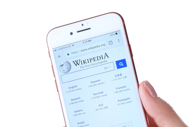 Wikipedia on iPhone