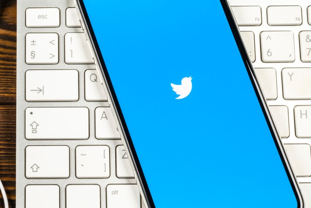 Twitter logo on iPhone X