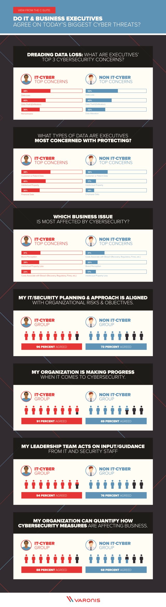 Varonis infographic