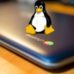 Linux logo on Chromebook