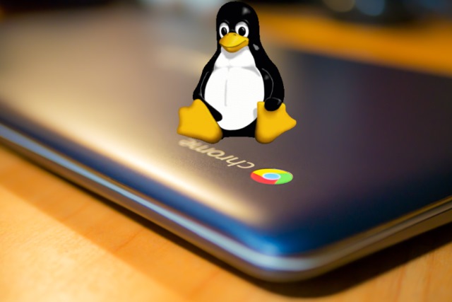 Linux logo on Chromebook