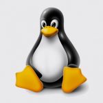 Linux penguin