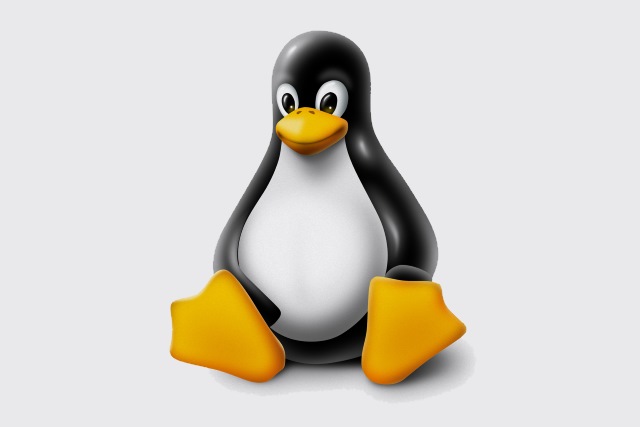 Linux penguin