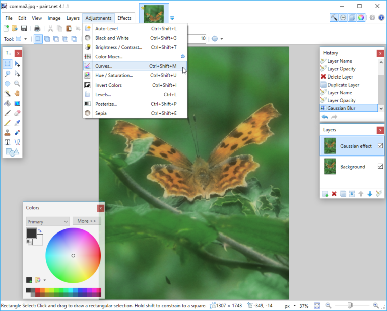 paintdotnet free download