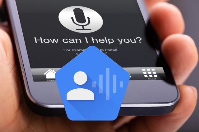 Google Voice Assist