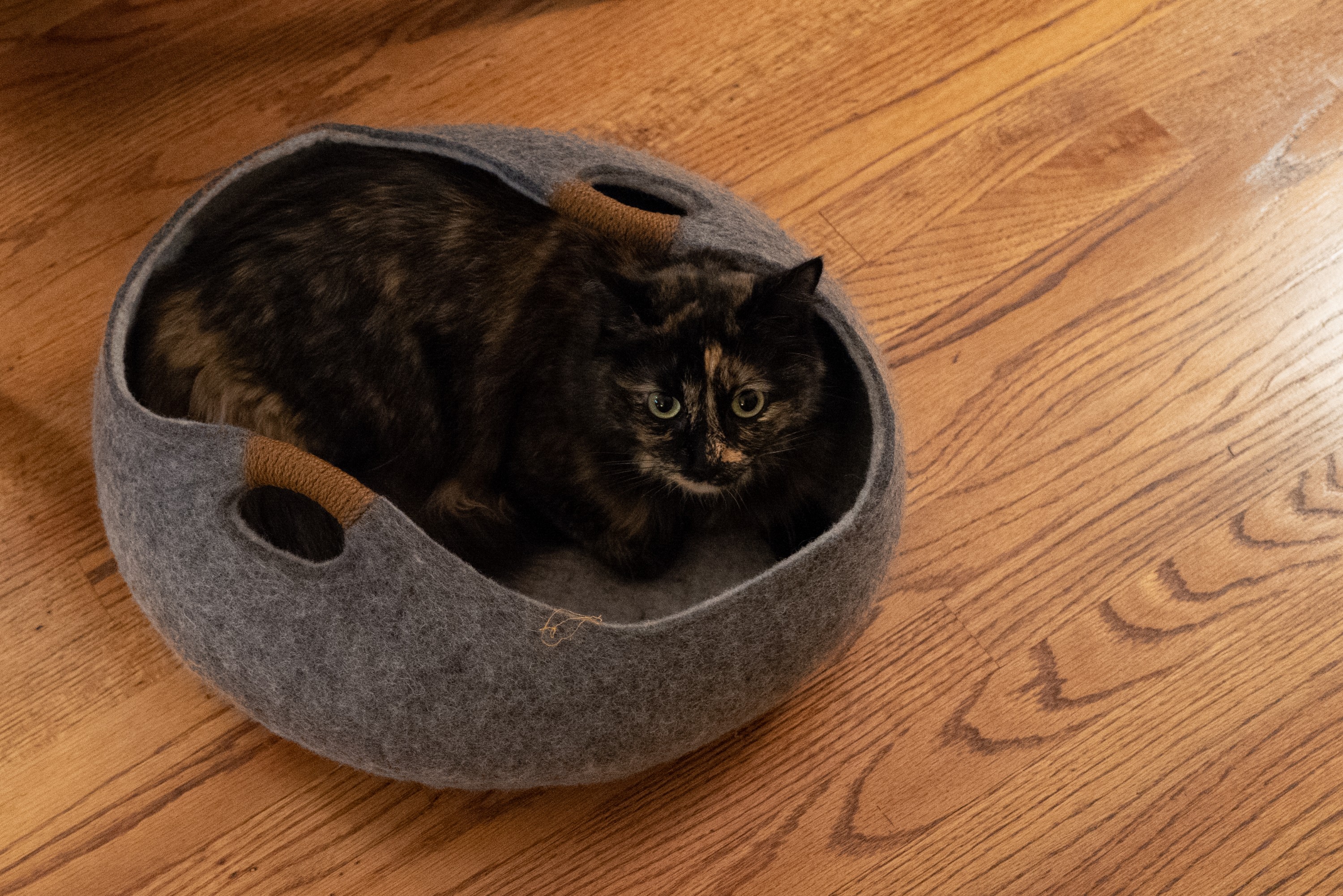 photo of Tuft + Paw Gatto Basket (review) image