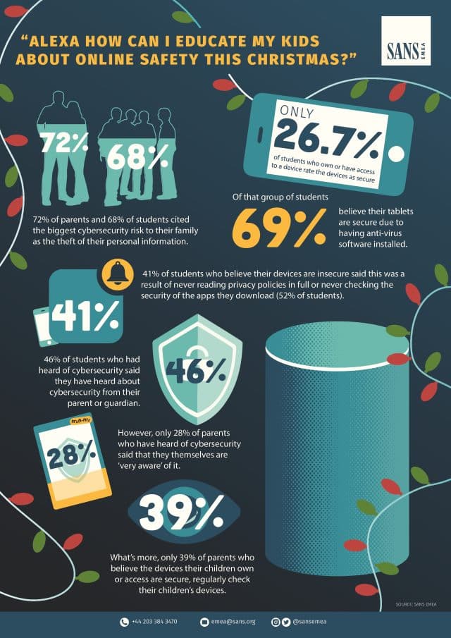 Xmas web risks infographic