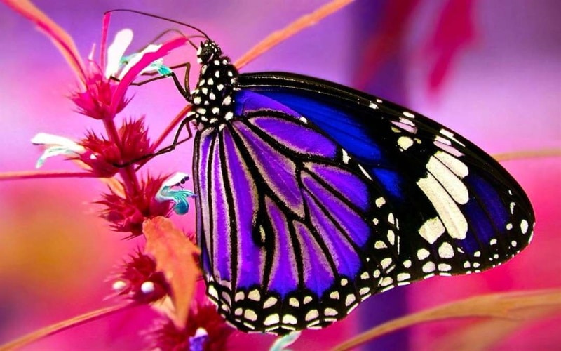 apps.2544.13768621950225582.167ba0c8-6eb8-47bb-96fe-278c89bf0dc9