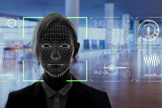 Facial recognition mesh