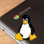 Linux on Chromebook