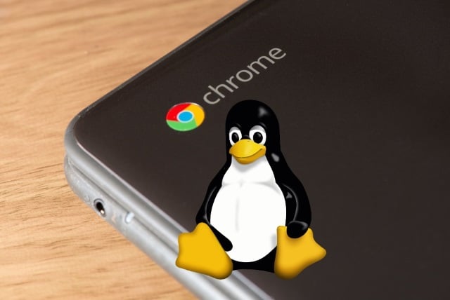 Linux on Chromebook