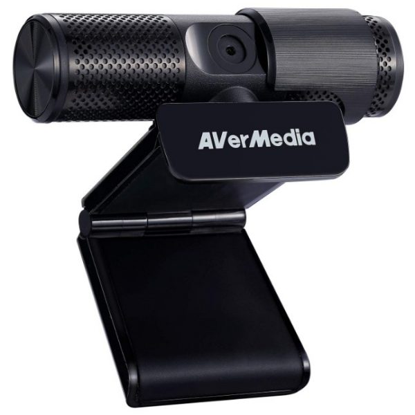 AverMediaCam313