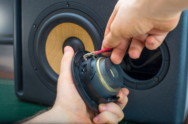 Speaker repair