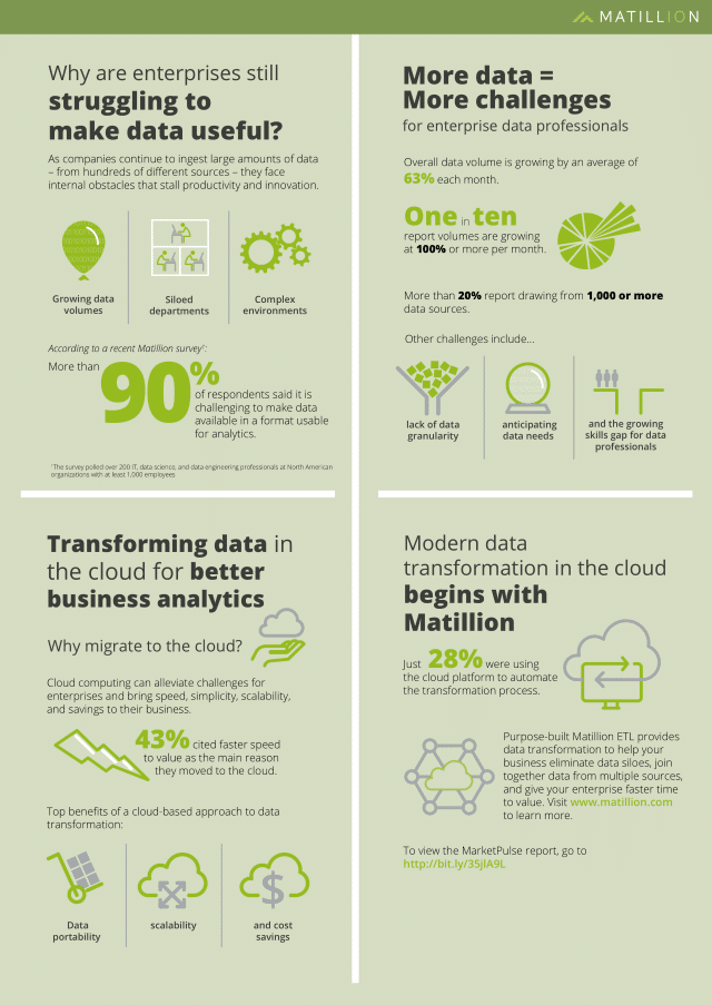 IDG/Matillion infographic