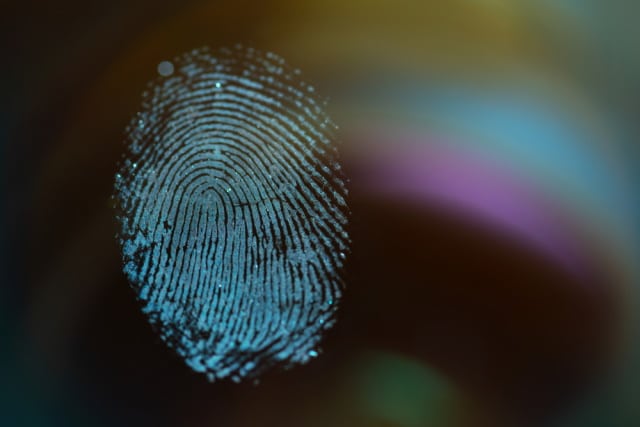 Fingerprint